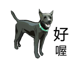 Taiwan Dog sticker #10761058