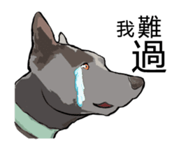 Taiwan Dog sticker #10761060