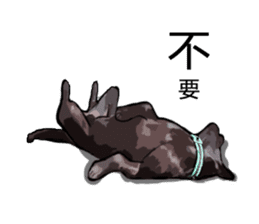 Taiwan Dog sticker #10761062