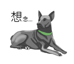 Taiwan Dog sticker #10761067