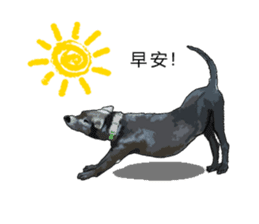 Taiwan Dog sticker #10761068