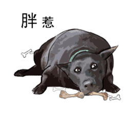 Taiwan Dog sticker #10761074