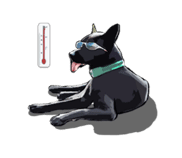Taiwan Dog sticker #10761076