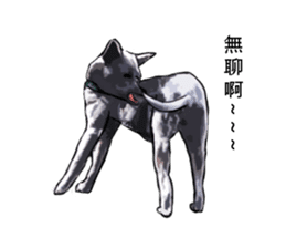 Taiwan Dog sticker #10761082