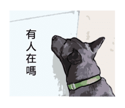 Taiwan Dog sticker #10761091