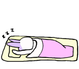 The Dutch rabbit sticker #10762643