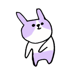 The Dutch rabbit sticker #10762661