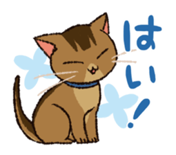 7 cats Sticker2 sticker #10762904