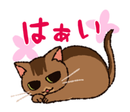 7 cats Sticker2 sticker #10762905