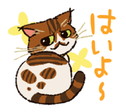 7 cats Sticker2 sticker #10762906