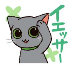 7 cats Sticker2 sticker #10762907