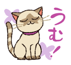 7 cats Sticker2 sticker #10762908