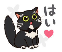 7 cats Sticker2 sticker #10762909