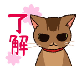 7 cats Sticker2 sticker #10762912