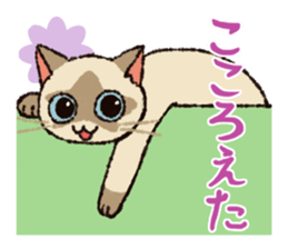 7 cats Sticker2 sticker #10762915