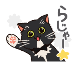 7 cats Sticker2 sticker #10762916