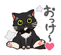 7 cats Sticker2 sticker #10762923