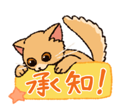 7 cats Sticker2 sticker #10762924