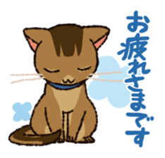 7 cats Sticker2 sticker #10762925