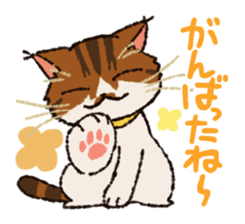 7 cats Sticker2 sticker #10762927