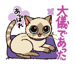 7 cats Sticker2 sticker #10762929