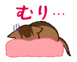 7 cats Sticker2 sticker #10762938