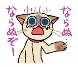 7 cats Sticker2 sticker #10762939