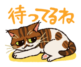 7 cats Sticker2 sticker #10762940