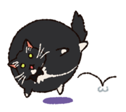 7 cats Sticker2 sticker #10762942