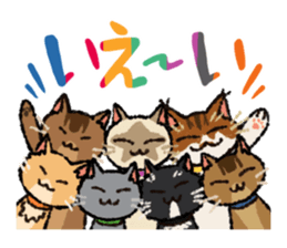 7 cats Sticker2 sticker #10762943