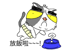 grumpy face cat ojisan sticker #10765474