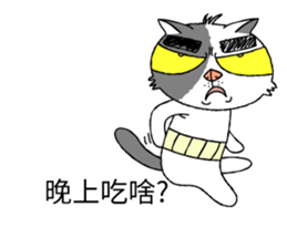 grumpy face cat ojisan sticker #10765476