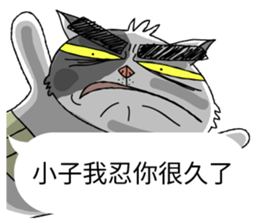 grumpy face cat ojisan sticker #10765481
