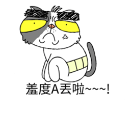 grumpy face cat ojisan sticker #10765483