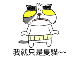 grumpy face cat ojisan sticker #10765486