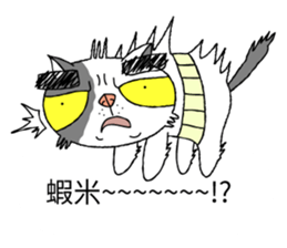 grumpy face cat ojisan sticker #10765490