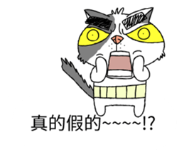 grumpy face cat ojisan sticker #10765493
