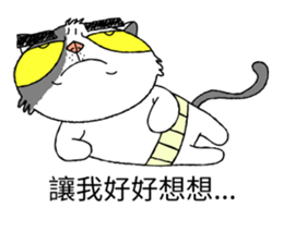 grumpy face cat ojisan sticker #10765495