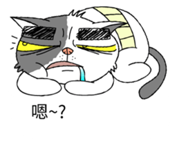 grumpy face cat ojisan sticker #10765497