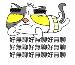 grumpy face cat ojisan sticker #10765505