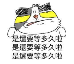 grumpy face cat ojisan sticker #10765508