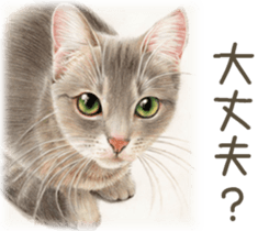 A capricious cat 2 sticker #10768758