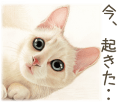 A capricious cat 2 sticker #10768761