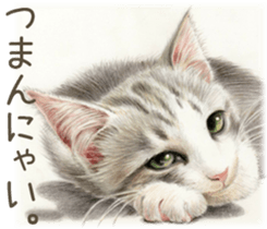 A capricious cat 2 sticker #10768762