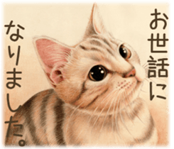 A capricious cat 2 sticker #10768767