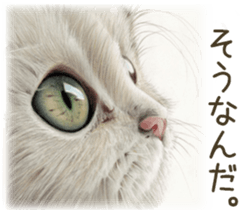 A capricious cat 2 sticker #10768779