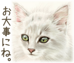 A capricious cat 2 sticker #10768784