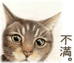 A capricious cat 2 sticker #10768786