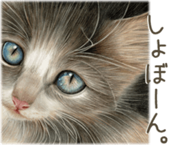 A capricious cat 2 sticker #10768788