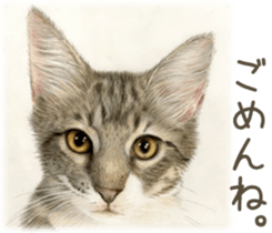 A capricious cat 2 sticker #10768789